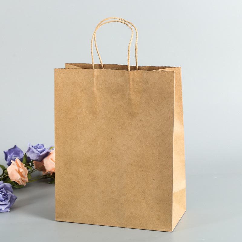 Kraft Paper Bags with Twisted Handles
