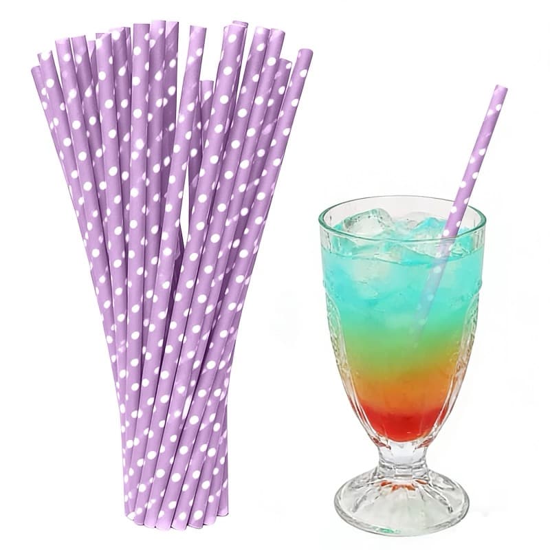 Eco Paper Straws & Wooden Stirrers